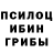 Псилоцибиновые грибы Magic Shrooms Mitay ISTR