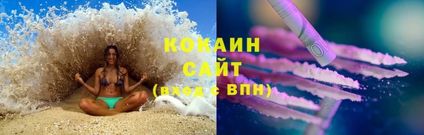 спиды Верея