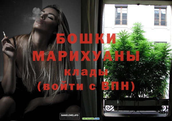 индика Новокубанск