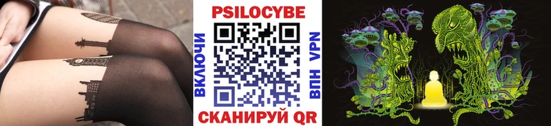 Псилоцибиновые грибы Psilocybe  Купить где  Велиж 
