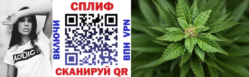 Шишки марихуана Ganja  Купить закладки  Велиж 